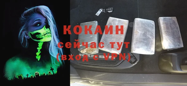 прущие грибы Балабаново
