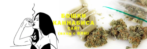 прущие грибы Балабаново