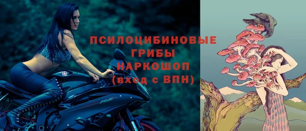 прущие грибы Балабаново