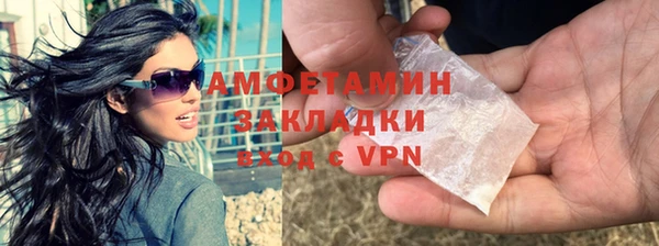 прущие грибы Балабаново