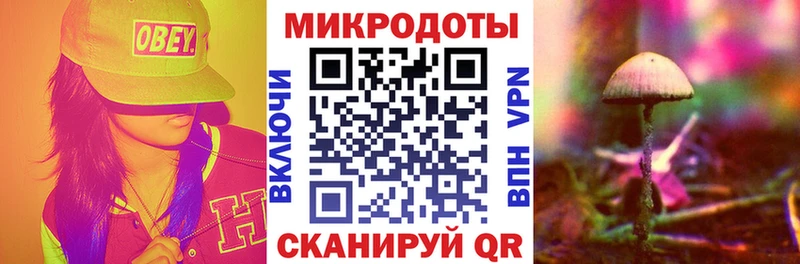 Псилоцибиновые грибы GOLDEN TEACHER  дарнет шоп  ОМГ ОМГ маркетплейс  Новотитаровская 
